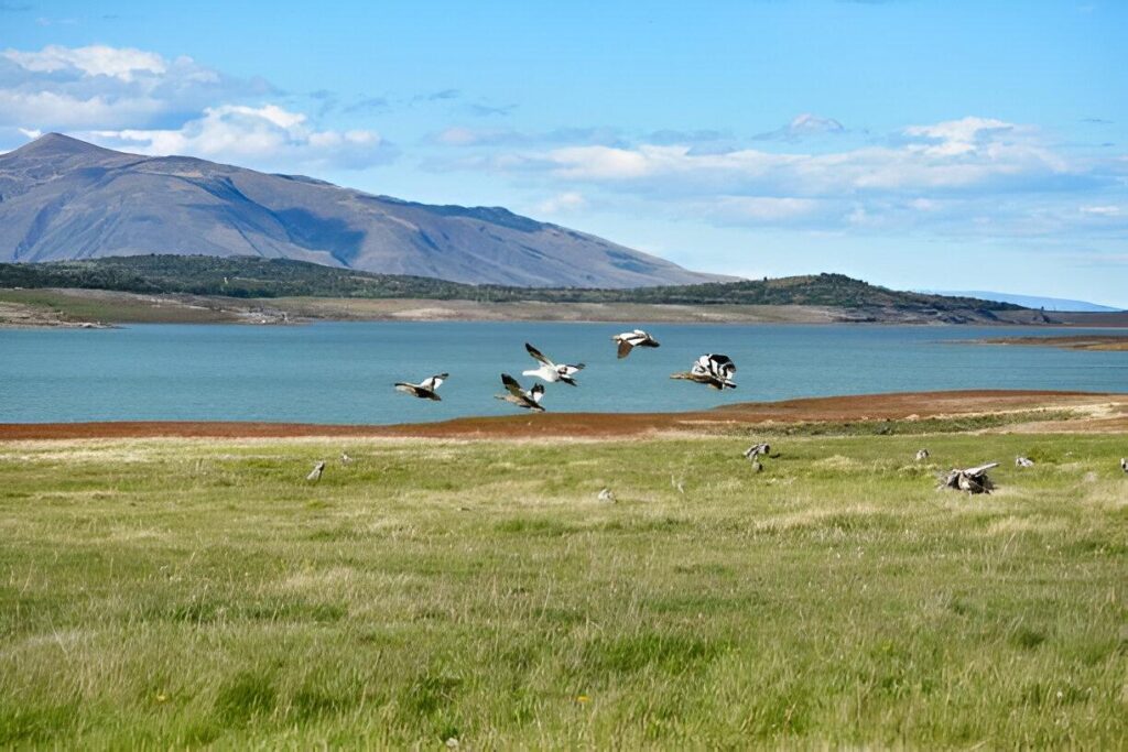 ﻿Discover the Best Bird Watching Trails in Argentina